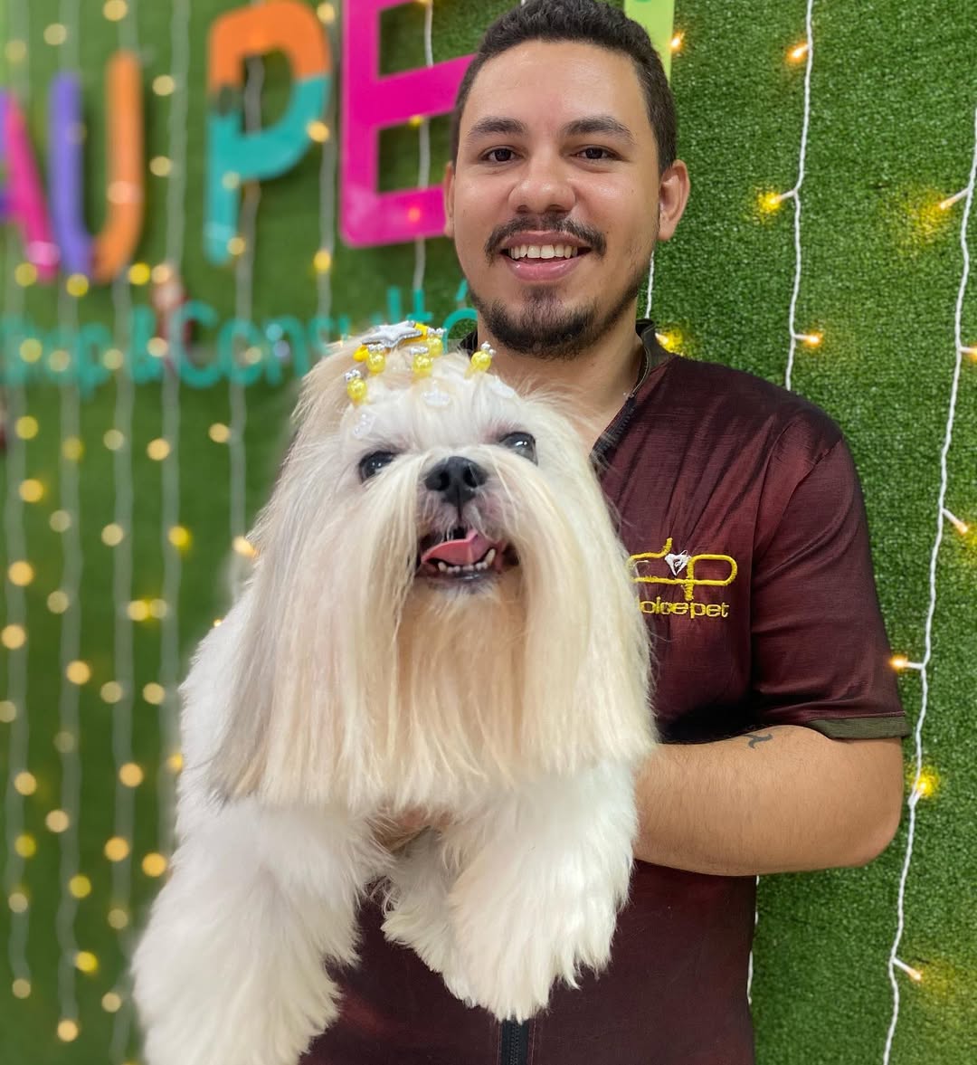 Ano novo pet limpo