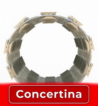Concertina