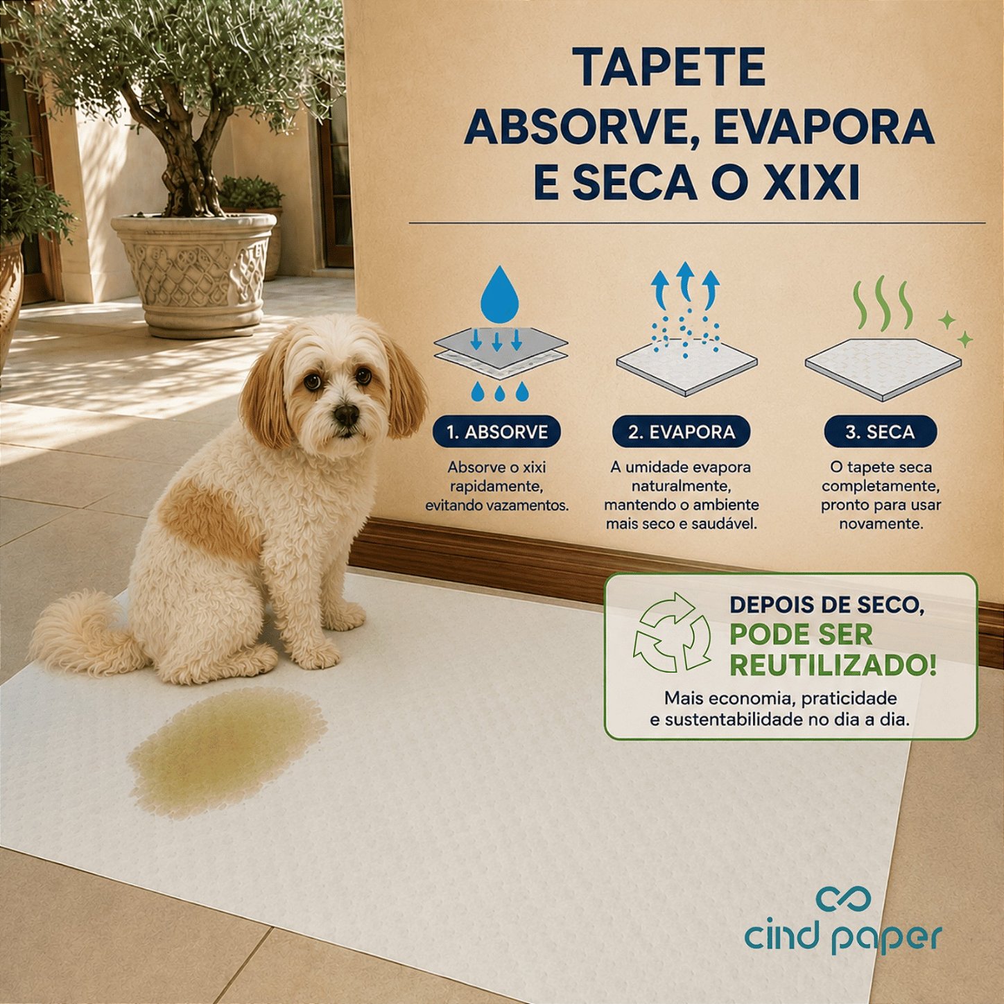 Fixação segura
