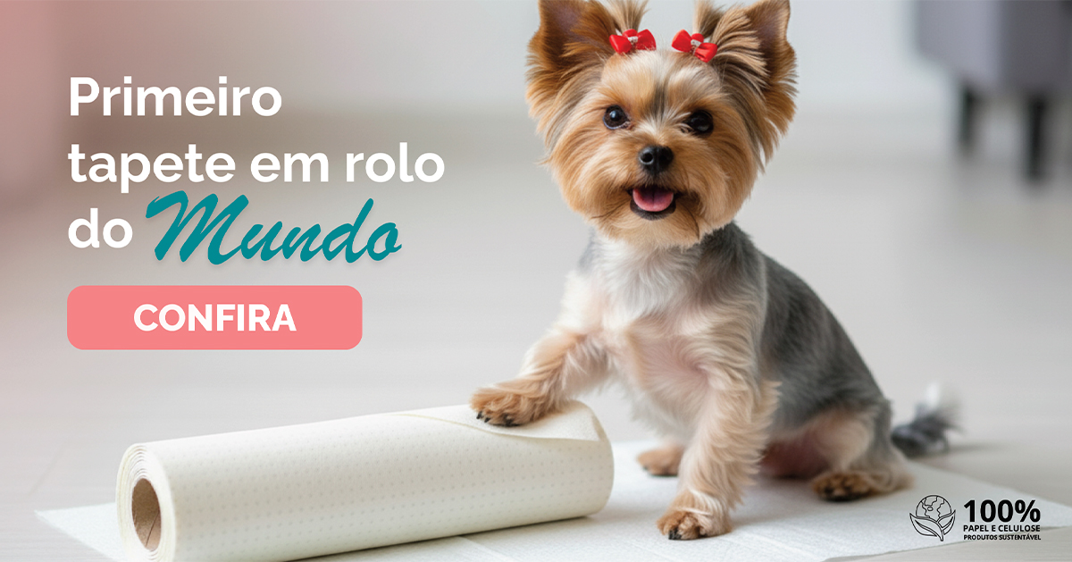 Banner Tapete em Rolo