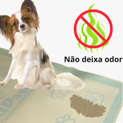 Não deixa odor