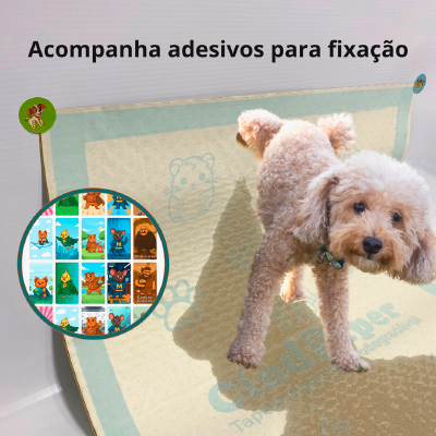Absorção rápida