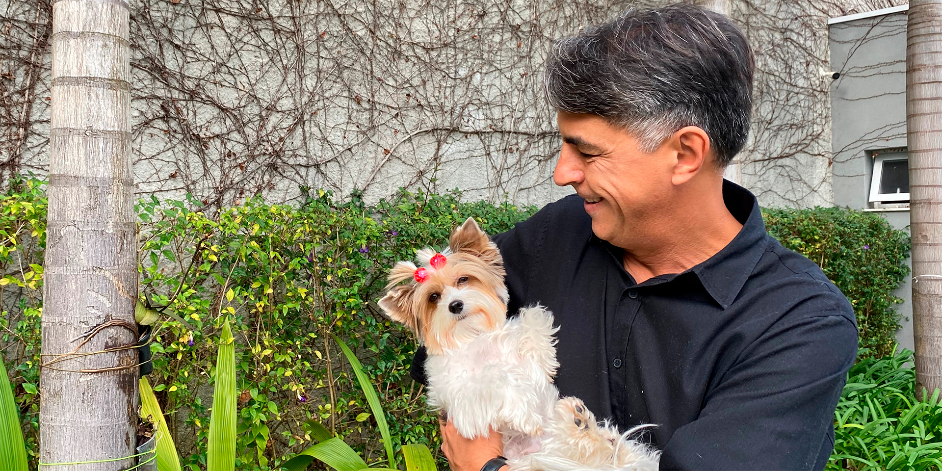 Por que isso importa?