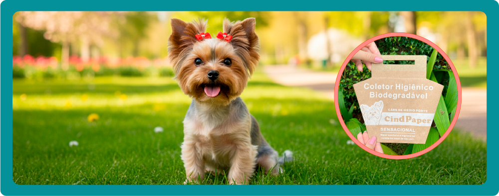 Cachorro e produto Cata Caca