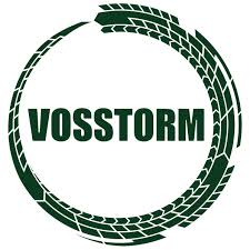 Vosstorm