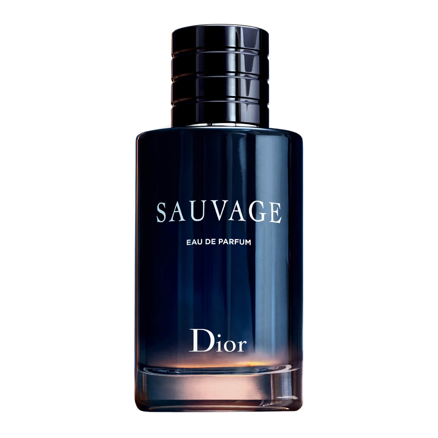 Perfume Importado Sauvage Edp 100ml - Sauvage Masculino