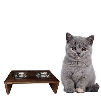 COMEDOURO FORMA ESCADA CÃES E GATOS