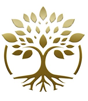 Vie&Co. – Nutrição Inteligente para uma Vida Extraordinária