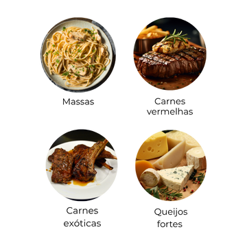 duas-capelas-tinto-reserva-harmonizações-mobile