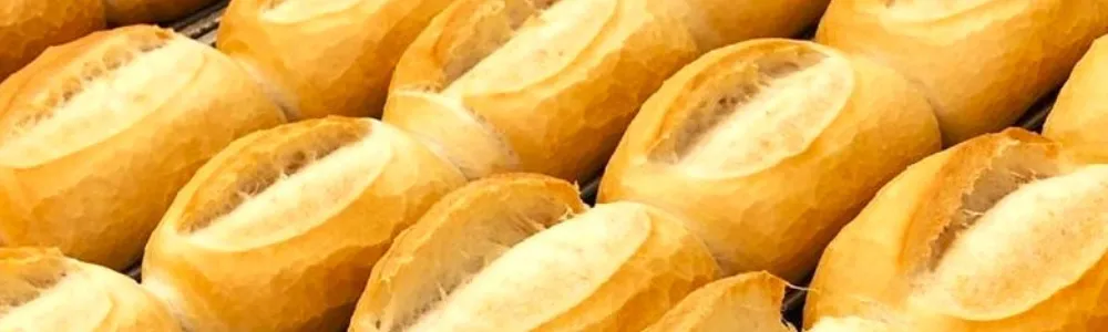 Receita de pão francês padrão padaria