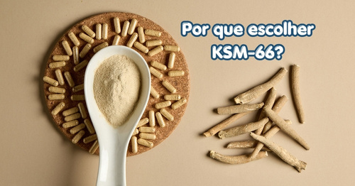 Por que escolher KSM-66 Ashwagandha Withania somnifera manipulação magistral MaxPharma farmácia Brasília