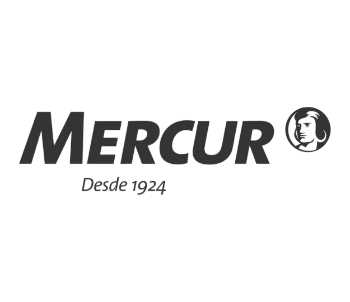 MERCUR