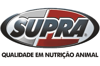 Supra