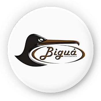 Bigua
