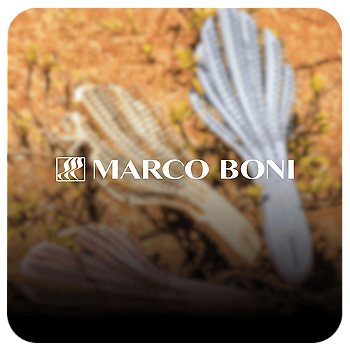 Marco Boni