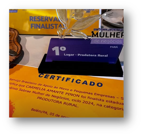 Representante da Amabee durante reconhecimento no Prêmio Sebrae Mulher de Negócios