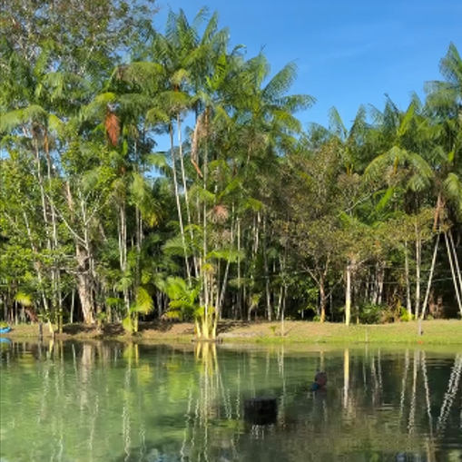 Paisagem da Fazenda Água Boa ou área de vegetação amazônica preservada