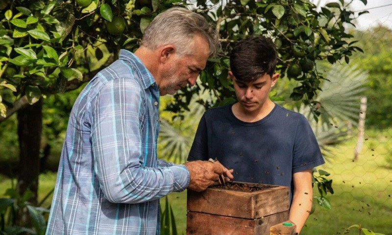 Manejo de abelhas ou colmeias na Fazenda Água Boa