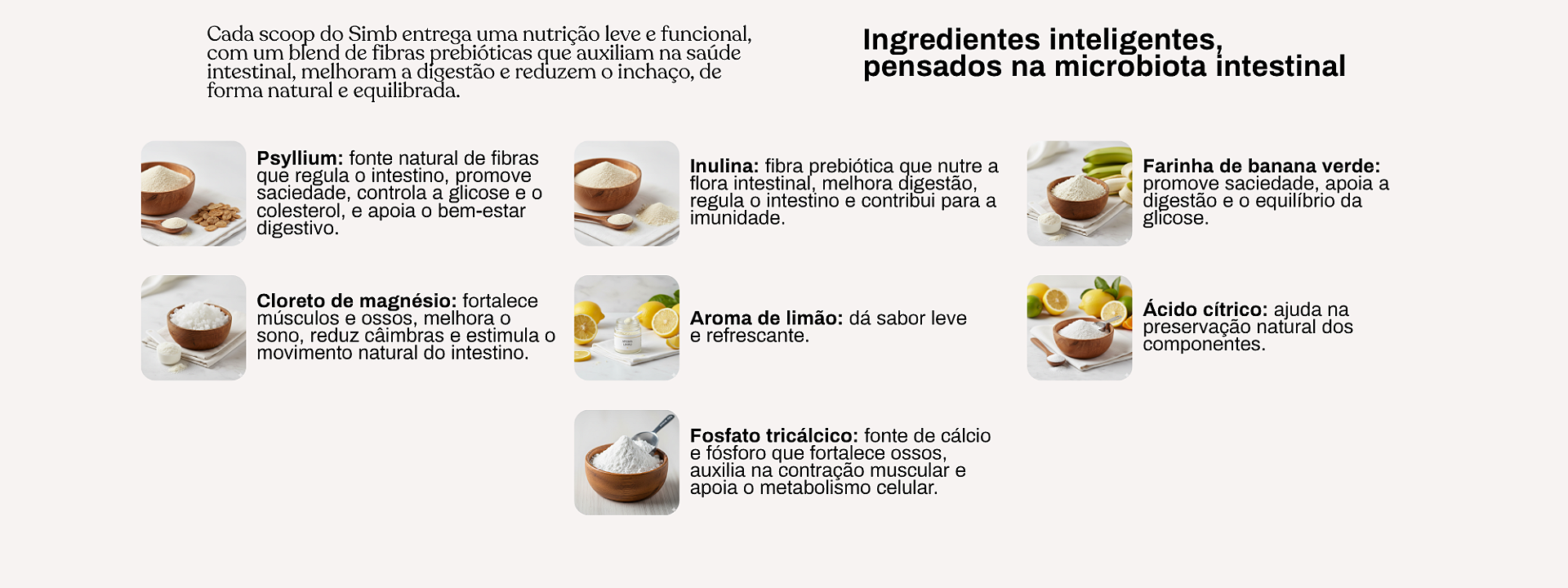 Banner SIMBFIBRAS Pigí