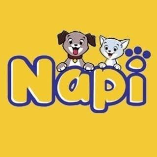 Napi