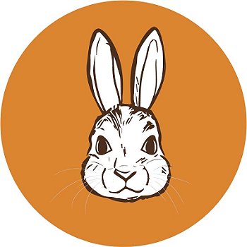 Vegan Bunny Cacauaria
