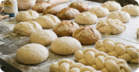 Descrição Masseira Amassadeira Máquina de Massa Pão Pizza Pastel 07 kg Sebem