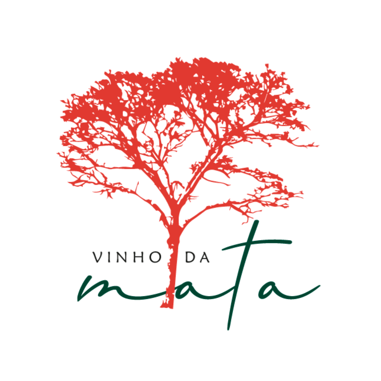 Vinho da Mata