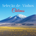 Seleção de Vinhos Chilenos