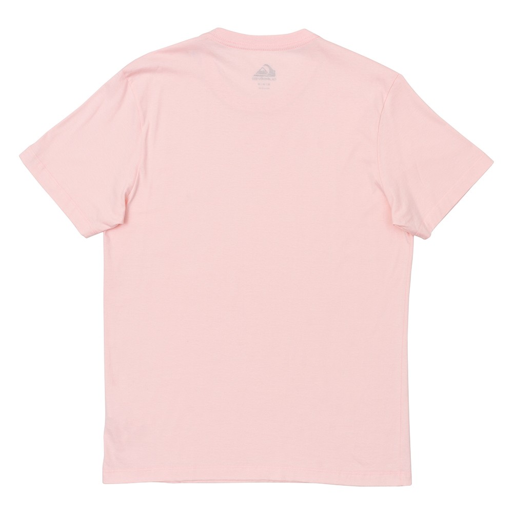Camiseta Quiksilver Embroidery Color Masculina Rosa Claro - Radical Place -  Loja Virtual de Produtos Esportivos