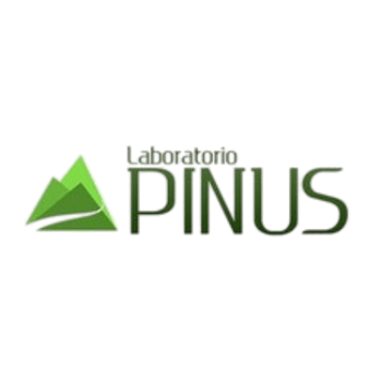 Pinus