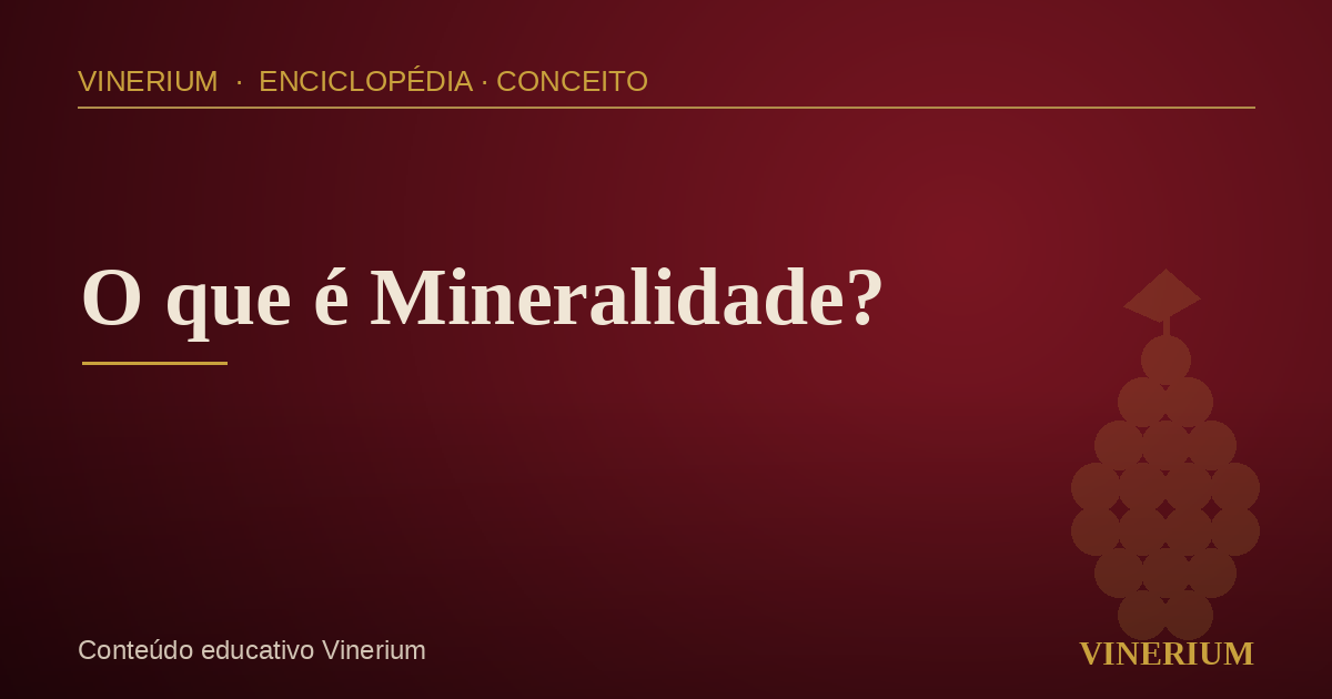 Vinhedos em solo pedregoso representando mineralidade no vinho