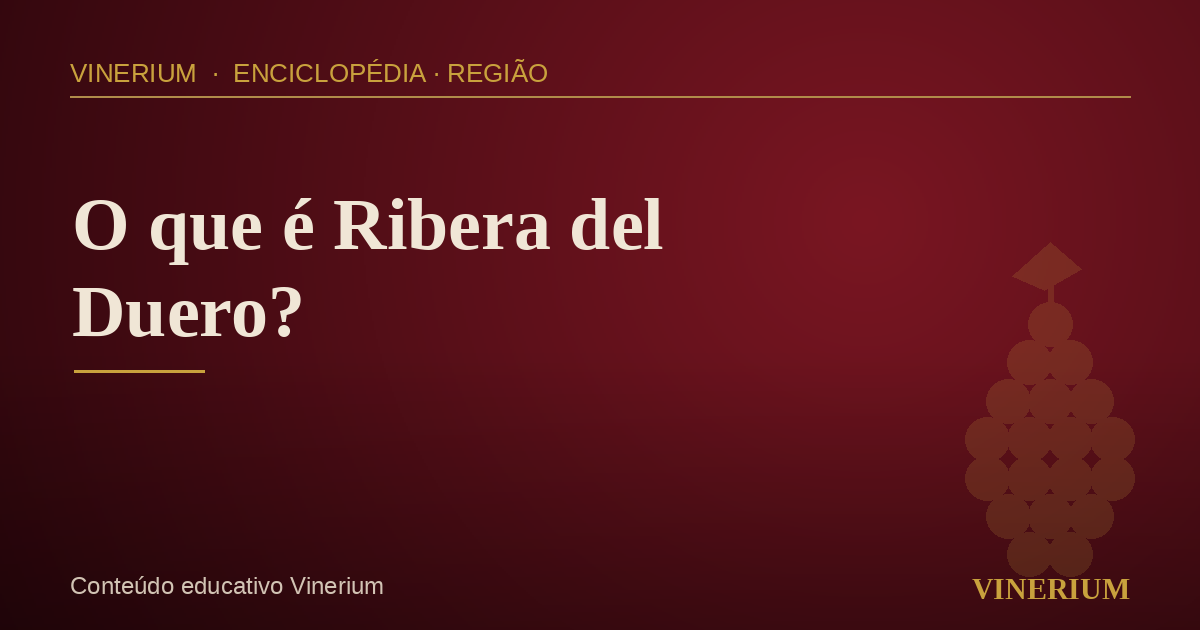 Vinhedos na região de Ribera del Duero, Espanha