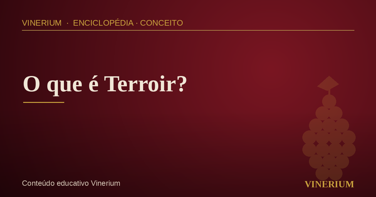 Vinhedos em encostas representando o conceito de terroir no vinho