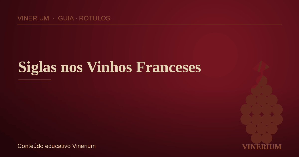 Garrafa de vinho francês com château ao fundo - VINERIUM