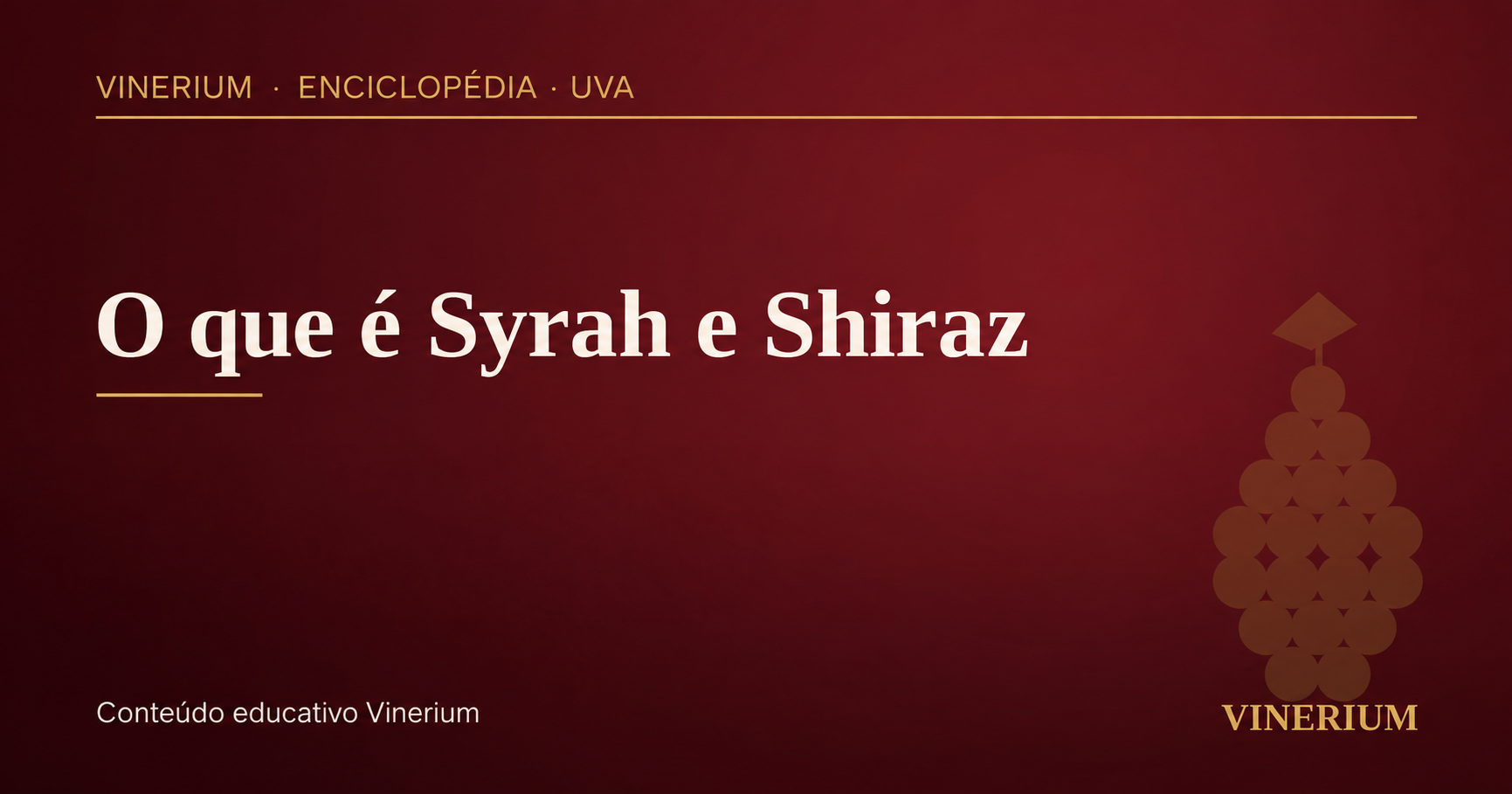 Capa do artigo O que é Syrah e Shiraz