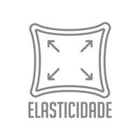 Elasticidade