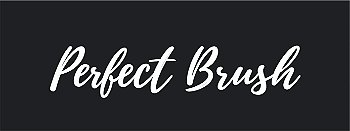 PERFECT BRUSH