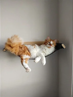 redinha para gatos em tecido e madeira rede caminha cama de parede filhotes gatinhos suspensa alto confortavel