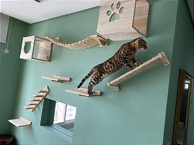 kit com varias peças de playground para seu gato fabricado em madeira macica pinus, resistente a chuva umidade agua, suporta kg, bengal, filhote, gatinho, brinquedo escalada altura subir nicho, casa, toca, ponde de madeira, passadeira, passarela para gato, degrau, escada, arranhador de parede cisal, pino
