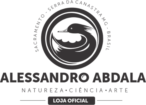 Alessandro Abdala