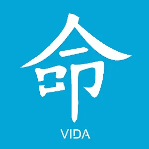 Stencil Ideograma Vida - 10x10cm