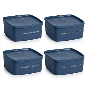 Tupperwareタッパーウェア　 ココット　500ml 4個 tupperware-kit-jeitosinho-400-