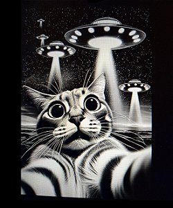Camiseta Invasão Alien