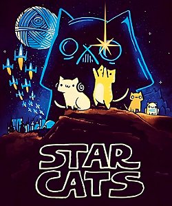 Camiseta Star Cats