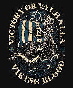 Camiseta Viking Blood