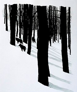 Camiseta Espíritos Da Floresta