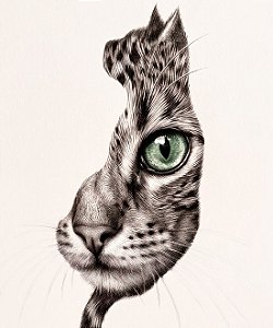 Camiseta Cat Inside