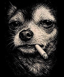 Camiseta Chihuahua Boss