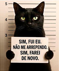 Camiseta Gato Fora Da Lei