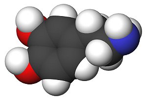 [62-31-7]	Dopamine Hydrochloride	5Gr
